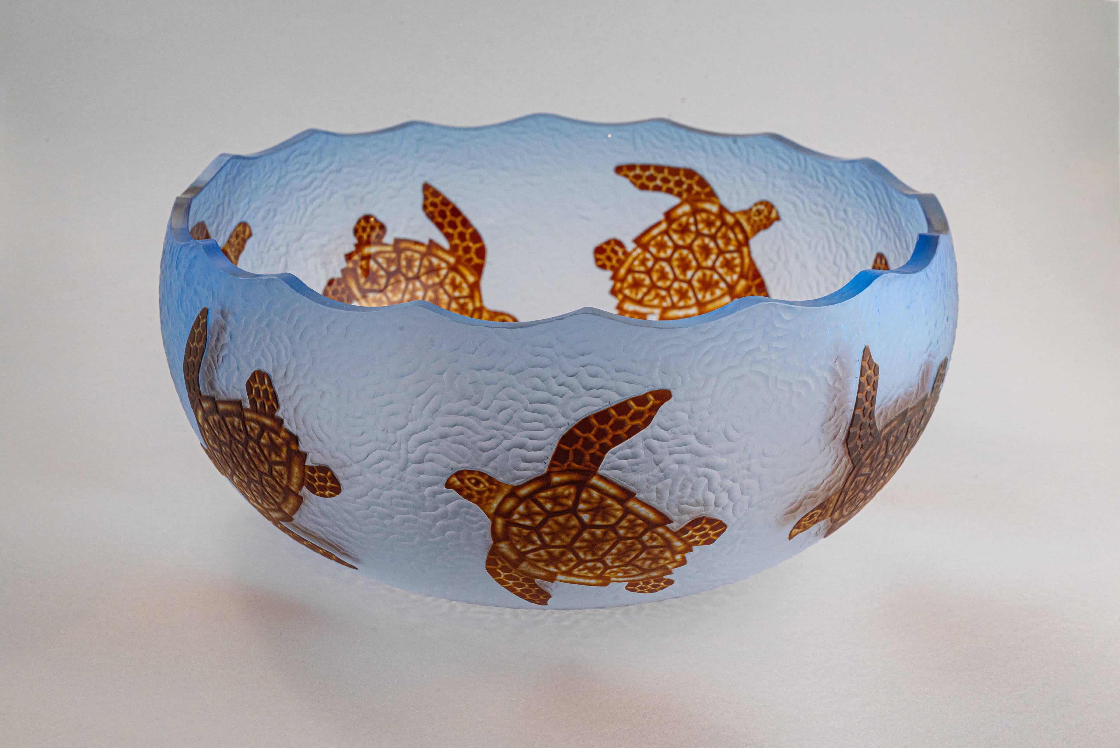 Sea Turtles